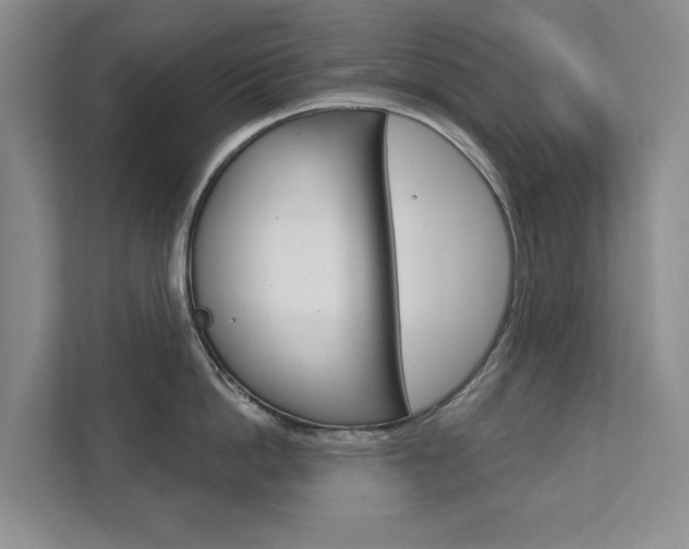 X0000111940862200907271013