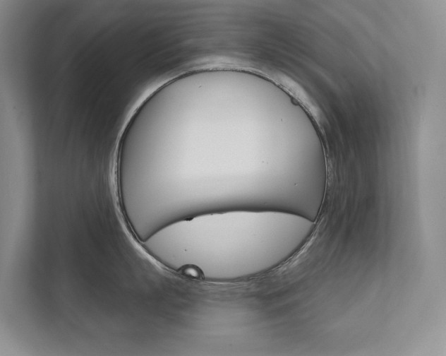 X0000111940863200907271013