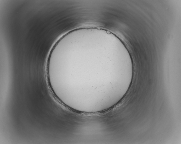 X0000111940864200907271013