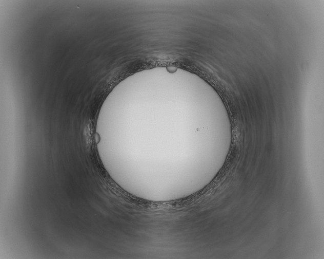 X0000111940866200907271012
