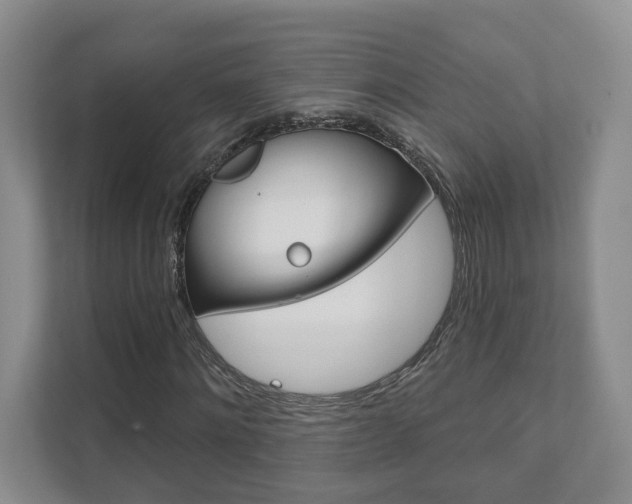 X0000111940868200907271012