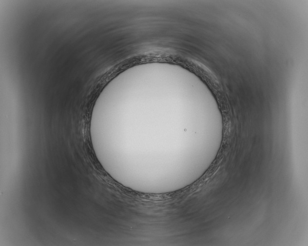 X0000111940869200907271012