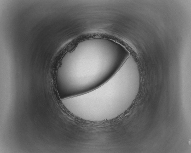 X0000111940872200907271012