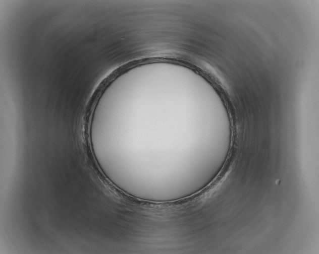 X0000111940875200907271012