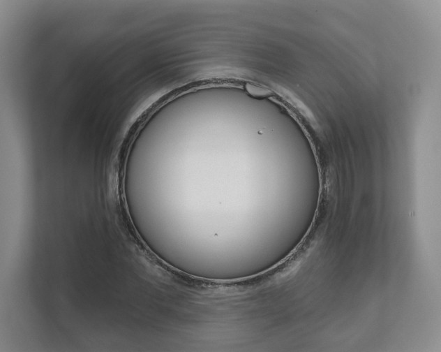 X0000111940877200907271012