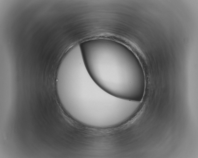 X0000111940881200907271012