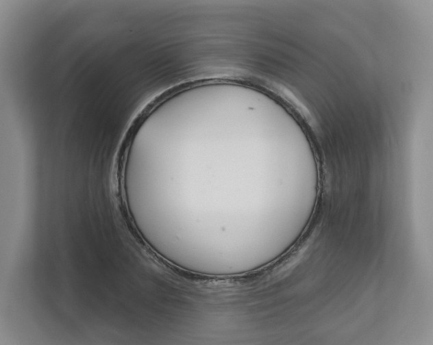 X0000111940883200907271012