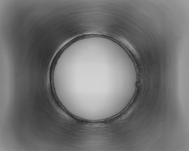 X0000111940884200907271012