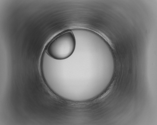 X0000111940885200907271012