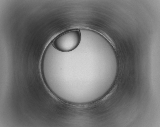 X0000111940893200907271012