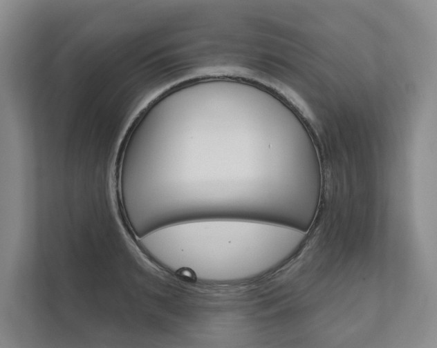 X0000111940895200907271012