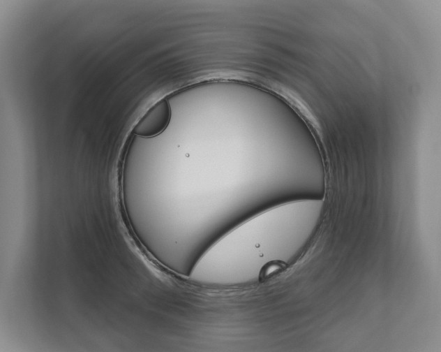 X0000111940898200907271012