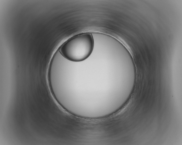 X0000111940901200907271012
