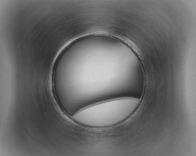 X0000111940904200907271011