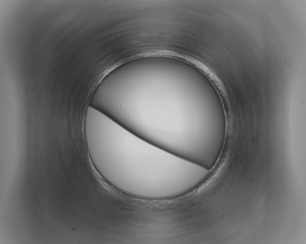 X0000111940905200907271011