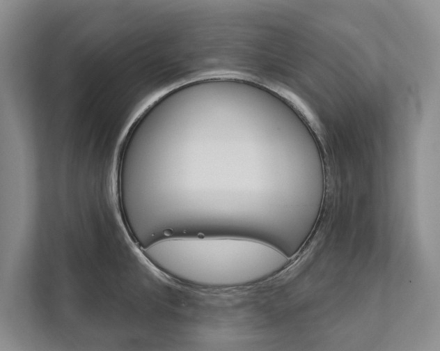 X0000111940910200907271011