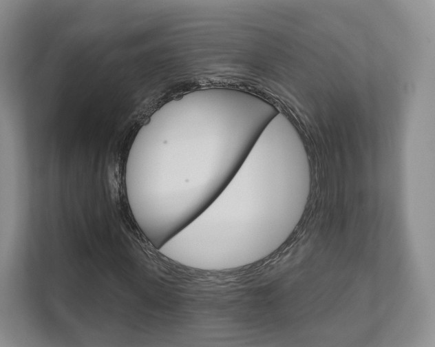 X0000111940915200907271011