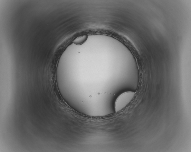 X0000111940919200907271011