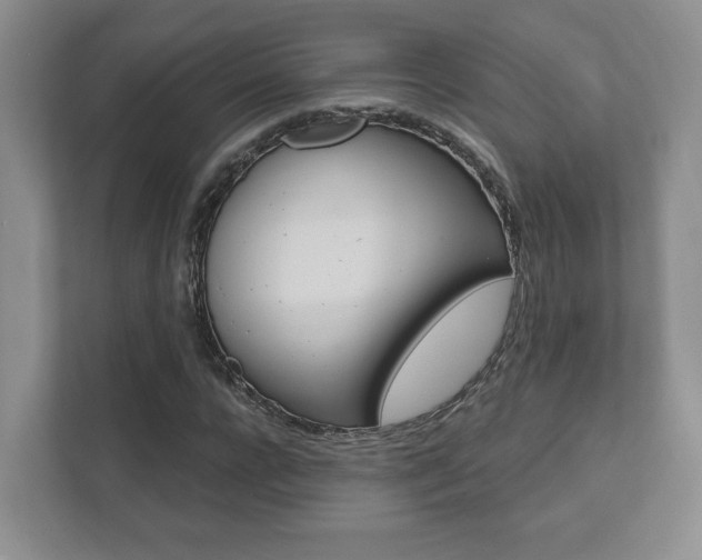 X0000111940920200907271011