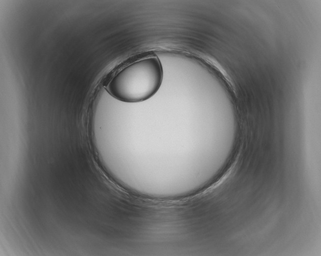 X0000111940922200907271011