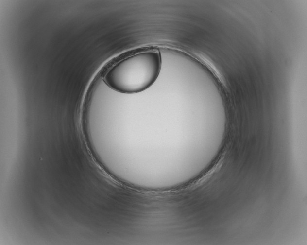 X0000111940924200907271011