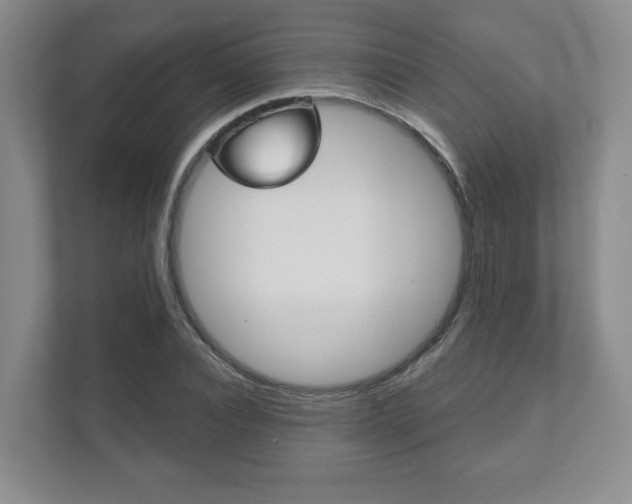 X0000111940928200907271011