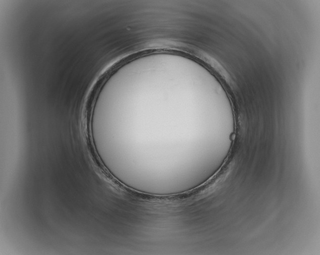 X0000111940931200907271011