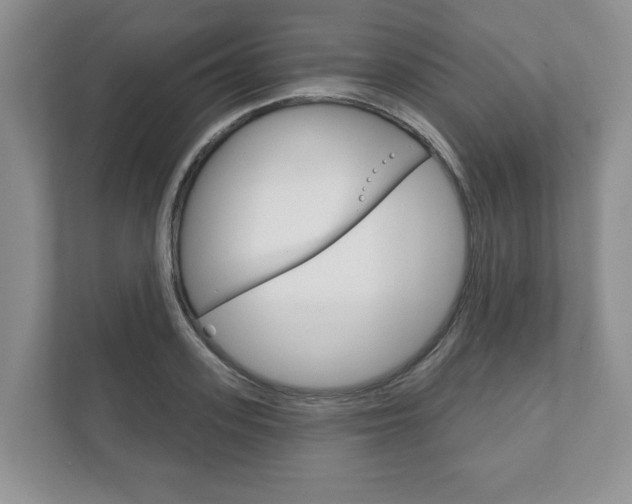 X0000111940939200907271011