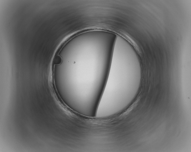 X0000111940940200907271011