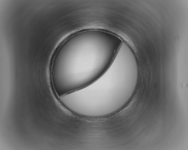 X0000111940942200907271011