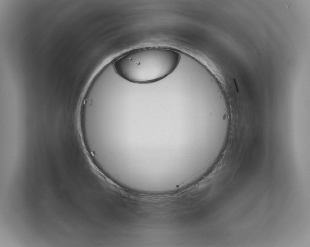 X0000111940950200907271011