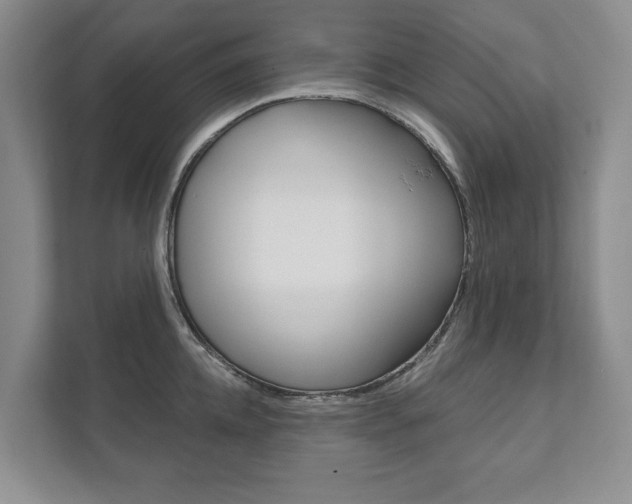 X0000111940952200907271011