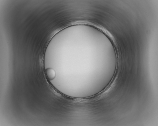 X0000111940953200907271011
