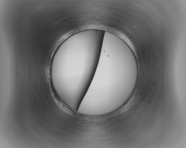 X0000111940954200907271011