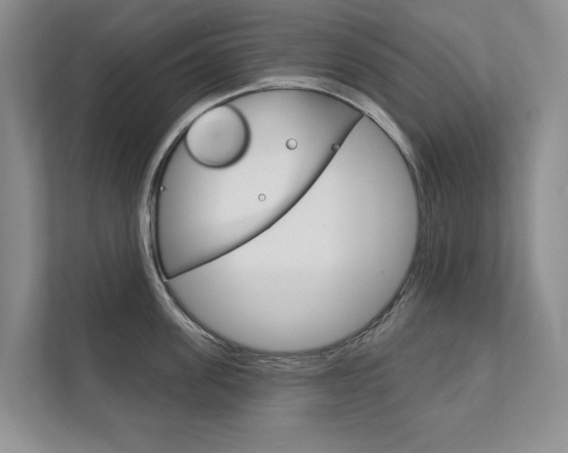 X0000111940955200907271011