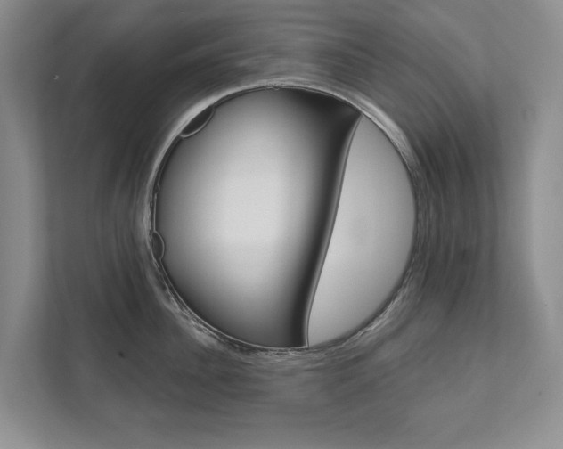 X0000111940956200907271011