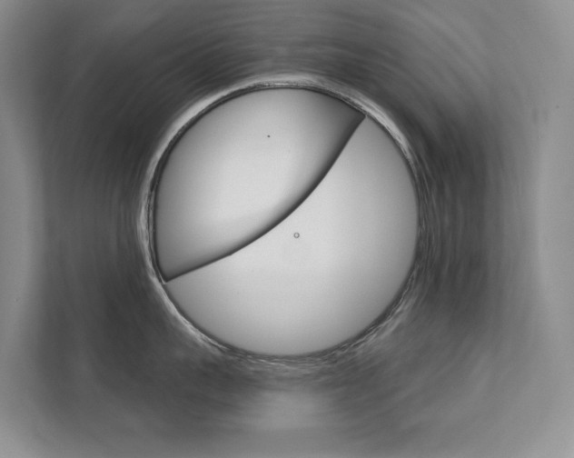 X0000111940959200907271011