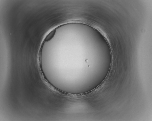 X0000111940960200907271011