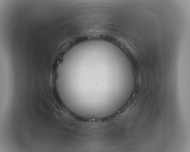 X0000111940964200907271011