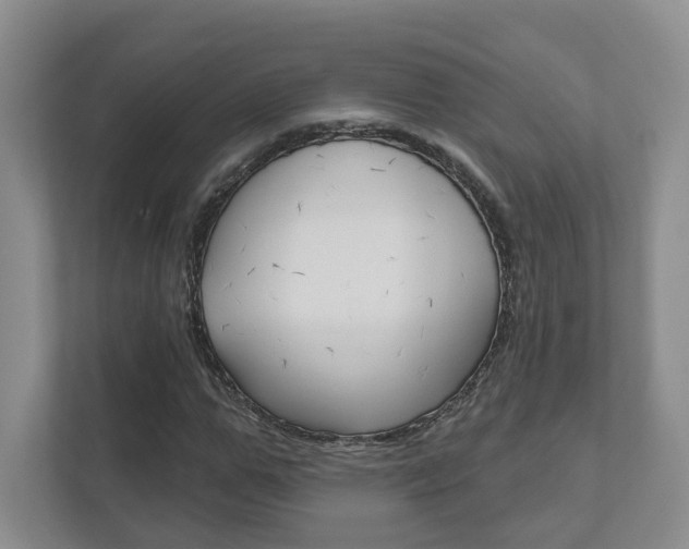 X0000111940967200907271011