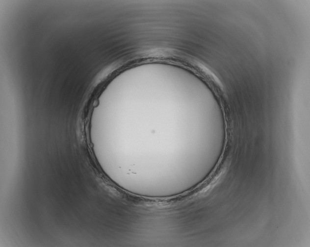 X0000111940970200907271011