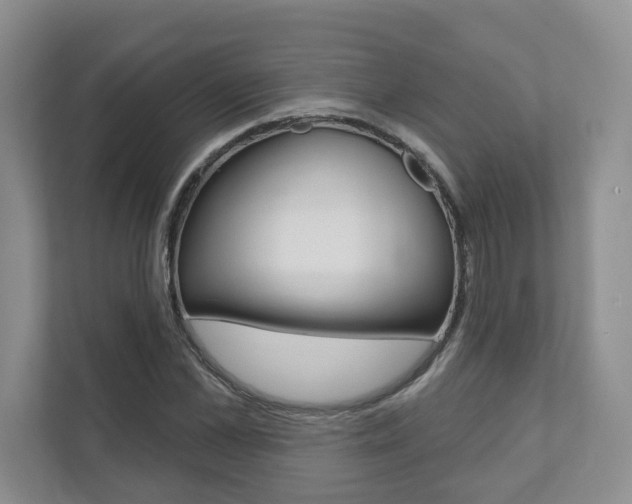 X0000111940973200907271011