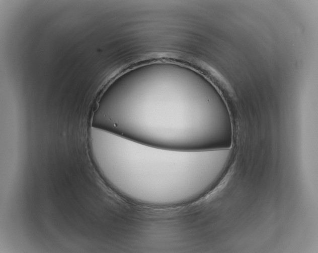 X0000111940977200907271011