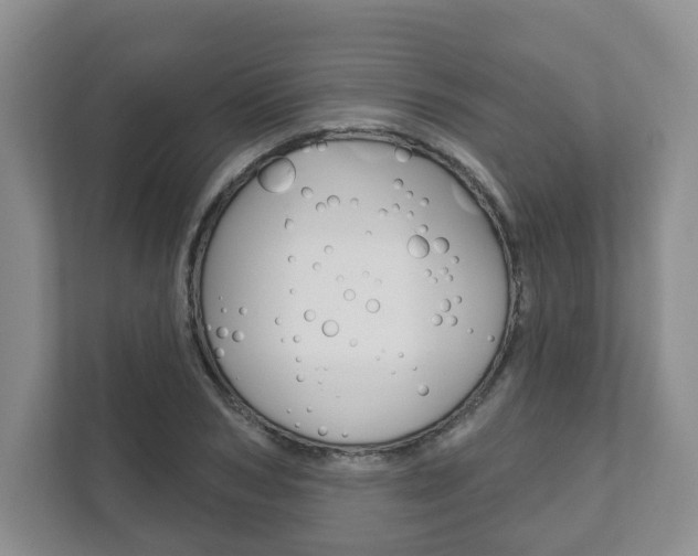 X0000111940978200907271011