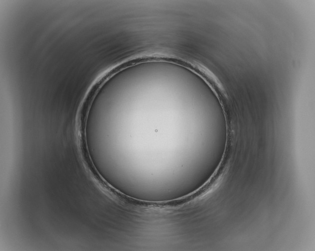 X0000111940981200907271010