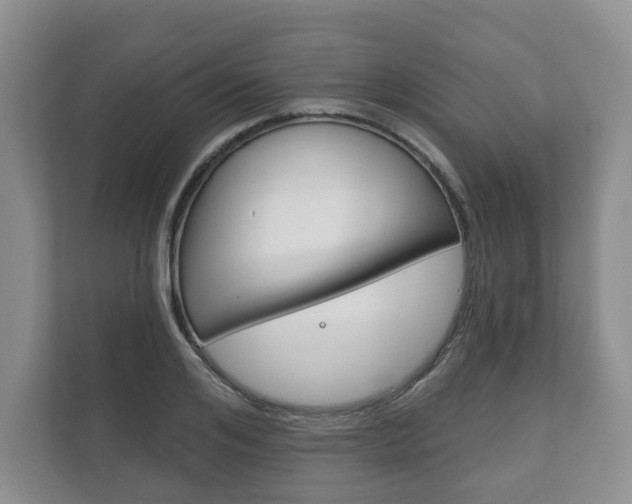 X0000111940984200907271010