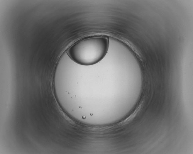X0000111940985200907271010