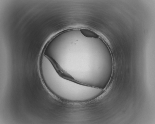X0000111940989200907271010