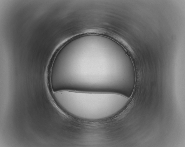 X0000111940991200907271010