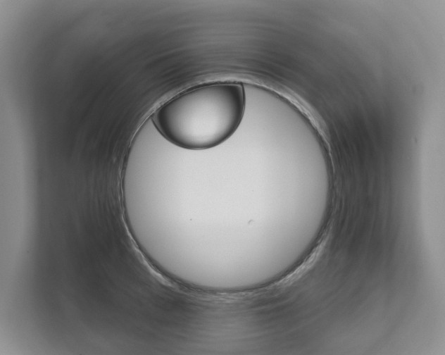 X0000111940993200907271010